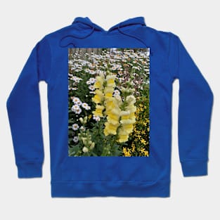 Snapdragon Flower Yellow Hoodie